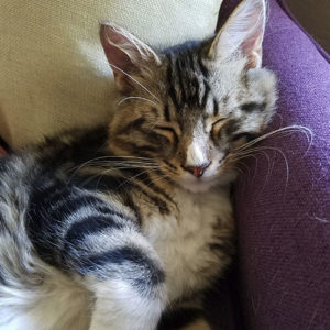 Charlie