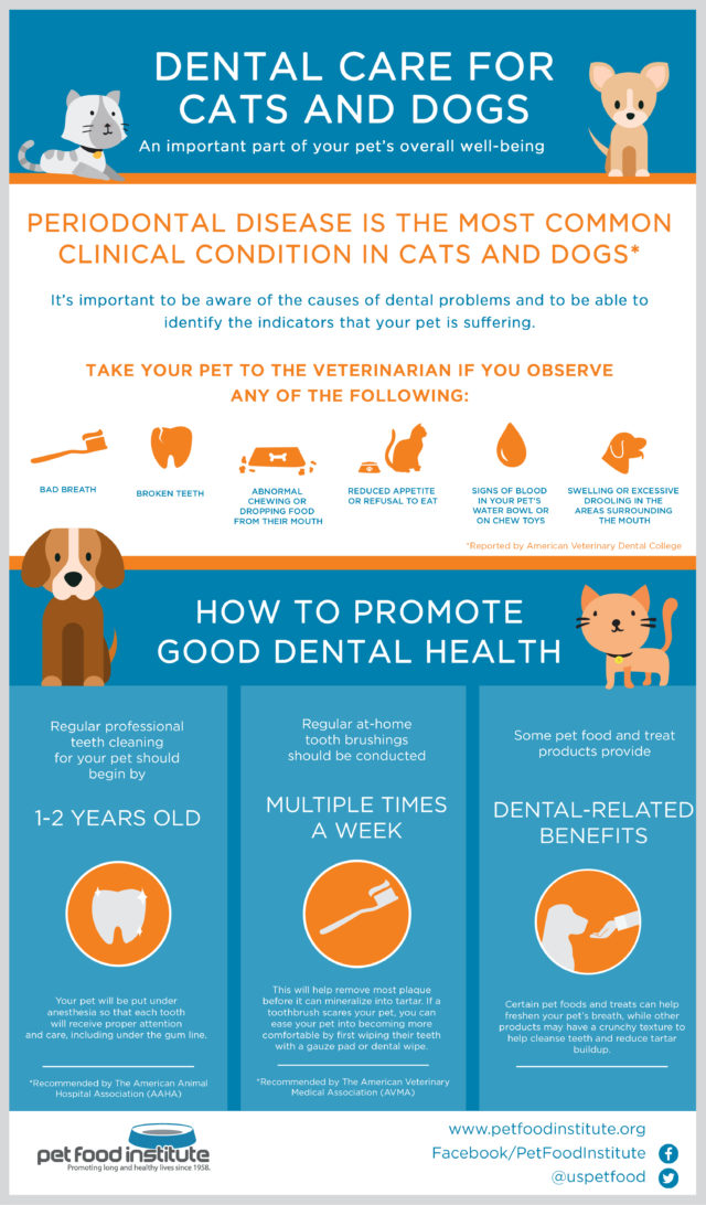 dental cleanse for dogs