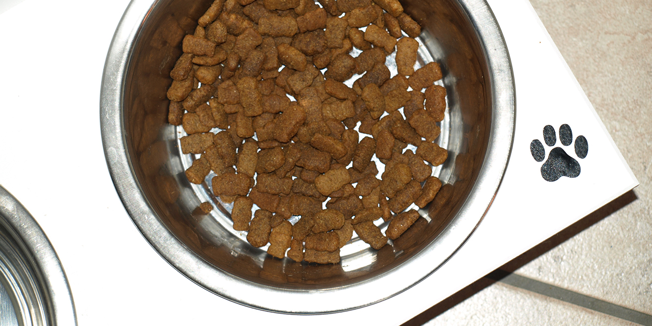 how should you store dry foods to prevent pest infestation