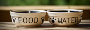 Photo of two pet food bowls.