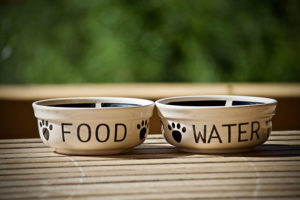 Photo of two pet food bowls.